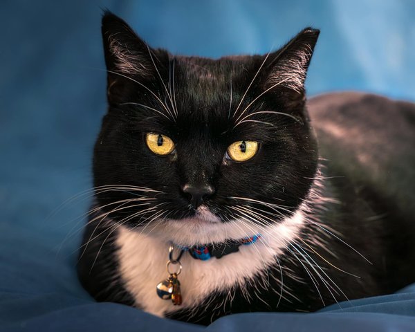 Hoe kan stressmanagement de fysieke gezondheid verbeteren?