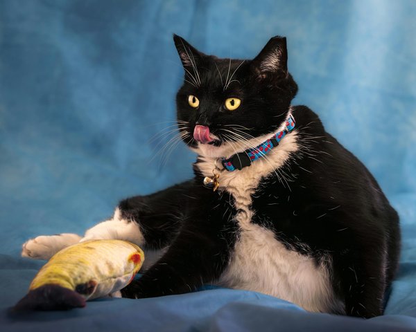 Hoe creëer je een duurzame kledingstijl?